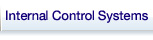 Internal Control Systems