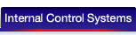 Internal Control Systems
