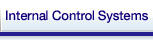 Internal Control Systems