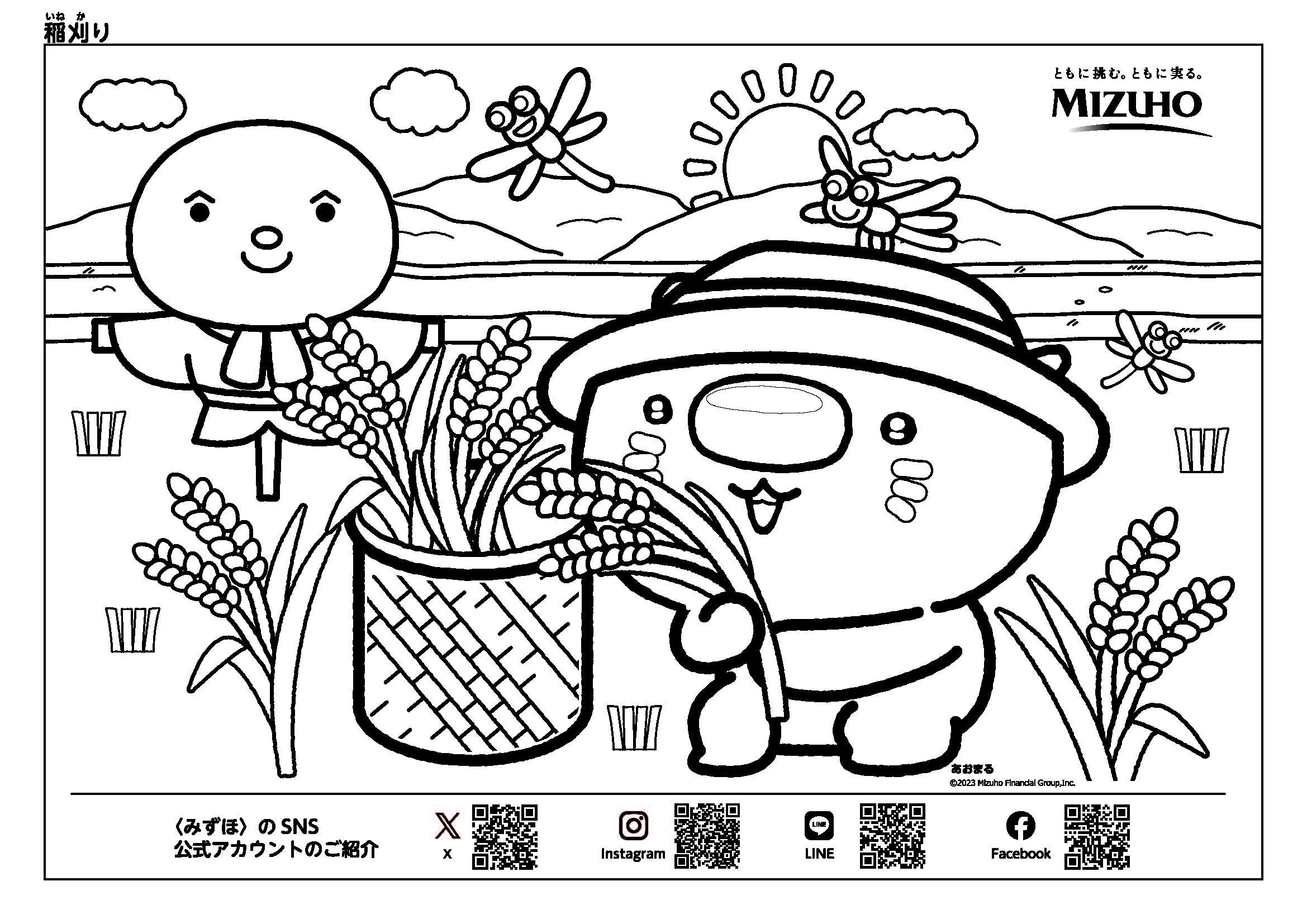 あおまる 稲刈り