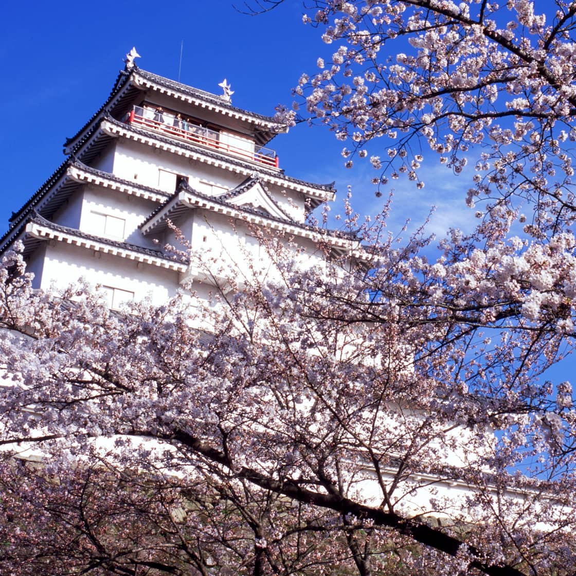 お買い物データの活用で町の"ふつう"を変えていく！デジタル地域通貨が進める会津若松市のスマート化とは?