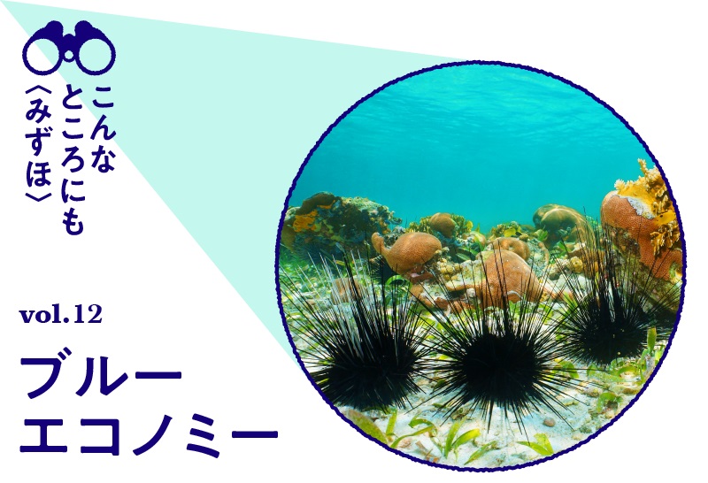 「ウニ」から始まるブルーエコノミー。藻場の再生で「海のエコシステム」を守る