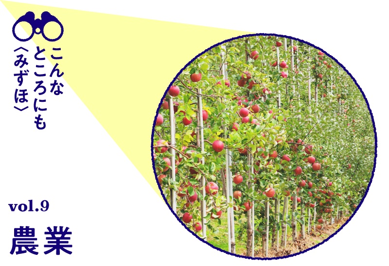 こんなところにも〈みずほ〉 vol.9 日本農業編