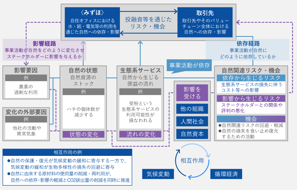 自然関連の依存・影響とリスク・機会の間および自然資本と気候変動・循環経済との関連性 イメージ図