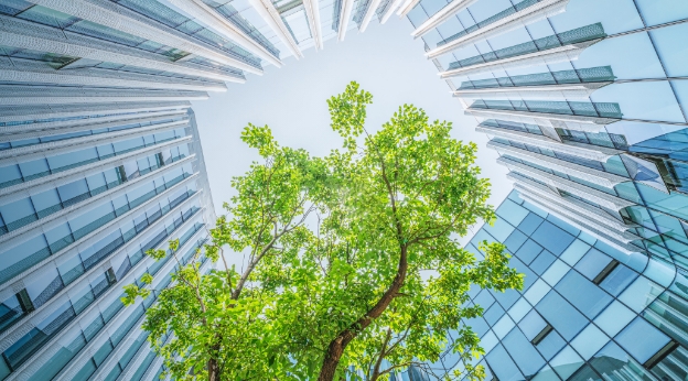 FOCUSイメージ画像