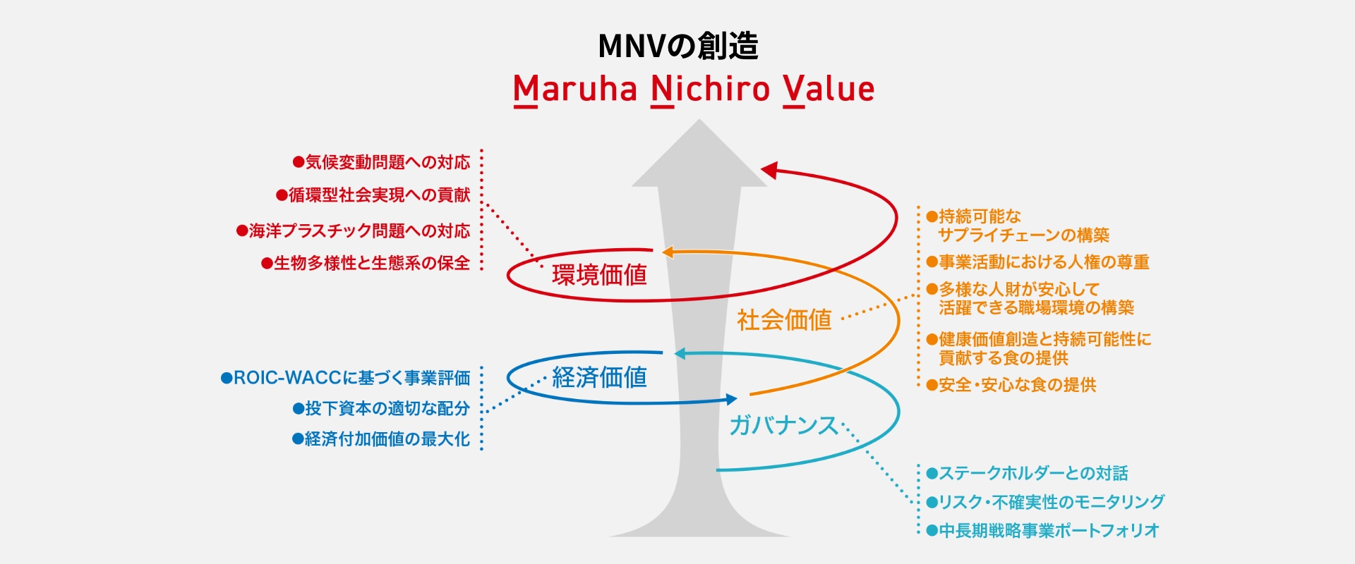 イメージ画像1：マルハニチロが描く、経営戦略とサステナビリティの統合（MNVの創造）