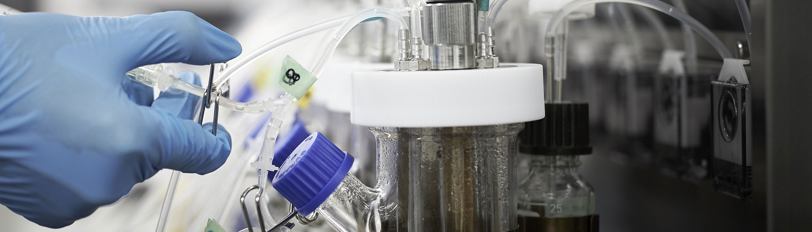 メイン画像：株式会社バッカス・バイオイノベーション（SX事例）